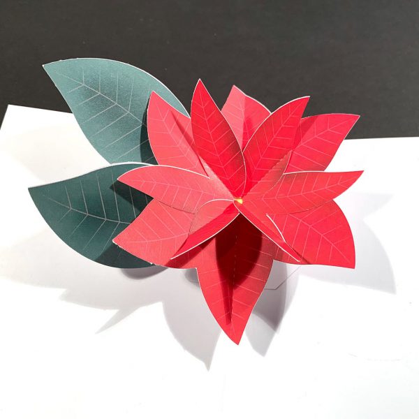 poinsettia 3d pop up greeting