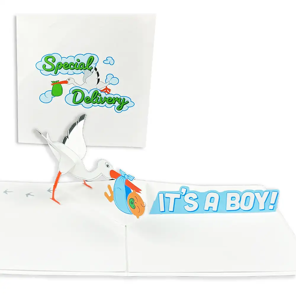 stork baby delivery pop-up